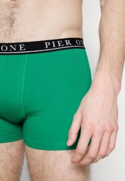 Pier One 5 PACK - Panty - Beige/green/bordeaux -Sklep Z Odzieżą Męską 9c29ff7443c148bf87a33eb890c88982