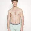Pier One 5 PACK - Panty - Beige/light Green/black -Sklep Z Odzieżą Męską d379f91f56774c6b94b9986326ca7732